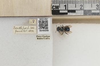 Media type: image;   Entomology 795048 Aspect: Labels
